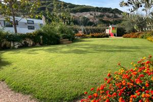 Terreno con Giardino