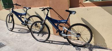Bicicletta mountain bike