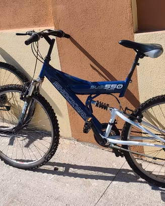 Bicicletta mountain bike