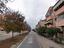 Immagine 15