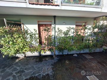 Bilocale Viareggio Centro