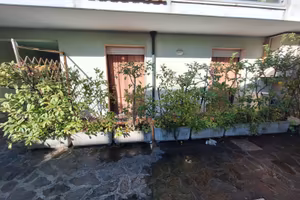 Bilocale Viareggio Centro