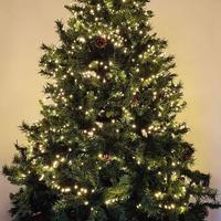 Alberto Di Natale Artificiale