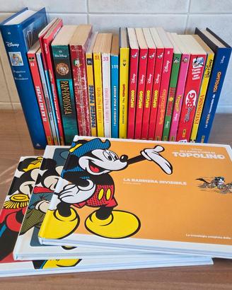 Primo lotto fumetti disney panini walt disney 