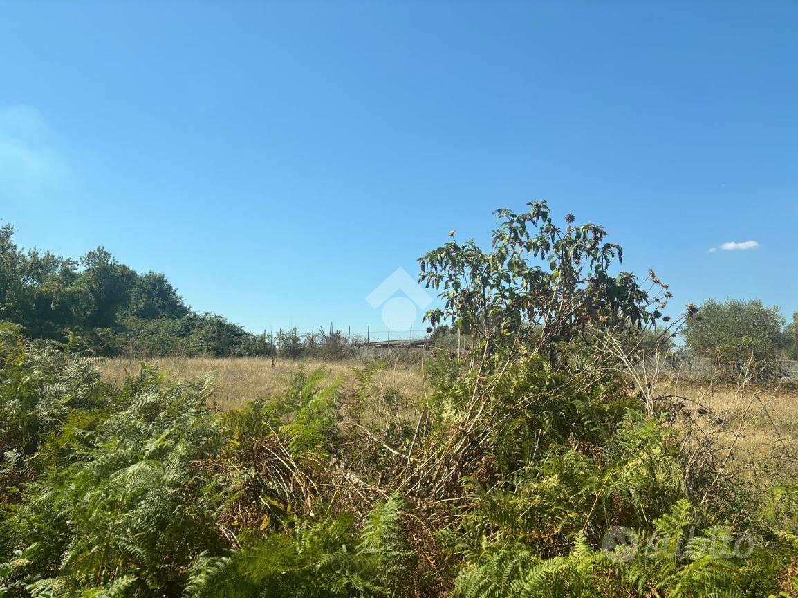 TER. AGRICOLO A ARTENA - Vista 5