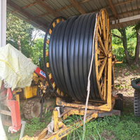 Irrigatore waldhauser regenautomat