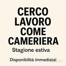 Lavoro come cameriere