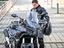 Immagine 12