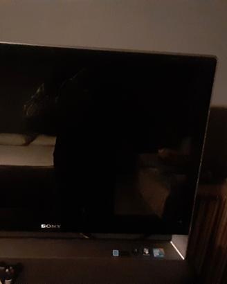 Pc sony vaio all in one windows 