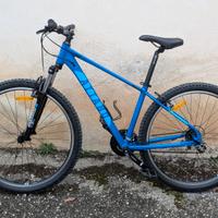 Mountain Bike 29"  Alpe