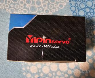 servo motore pinservo