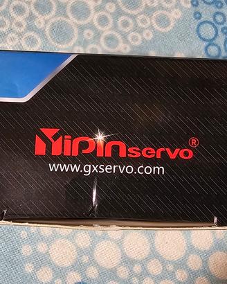 servo motore pinservo