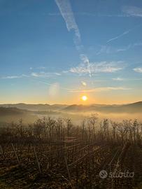 Terreno agricolo panoramico
