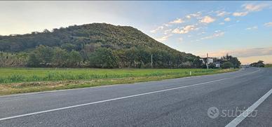 Terreno fronte SS 7 Domiziana