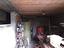 Immagine 13