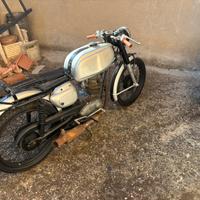 Morini corsaro