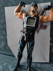 wrestling Hulk Hogan WCW nwo wwe electronics tiger