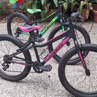 bicicletta MBM