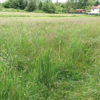 Terreno agricolo con bosco, torrente e prato