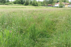 Terreno agricolo con bosco, torrente e prato