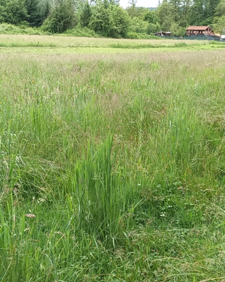 Terreno agricolo con bosco, torrente e prato