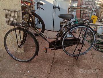 bicicletta con largo cesto per animali