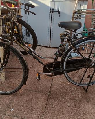 bicicletta con largo cesto per animali