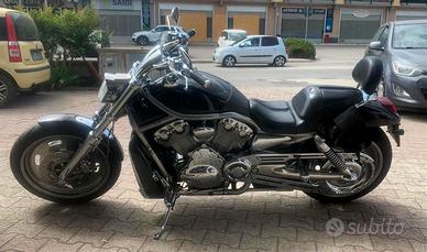 Splendida V-ROD