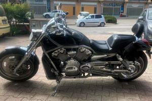 Splendida V-ROD