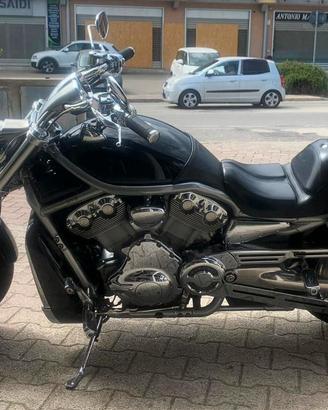 Splendida V-ROD