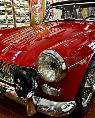 Mg Midget MK 3 TARGA ORO* 1967
