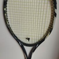 Agassi head radical zebra