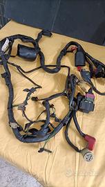 Impianto elettrico Honda Africa Twin  Rd 04 750   