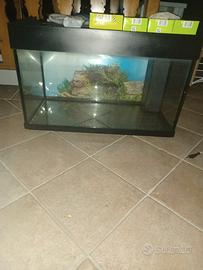 Acquario 80x42x49