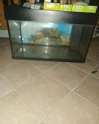 Acquario 80x42x49