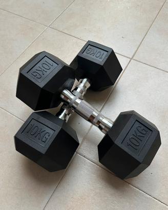 Coppia manubri 10 kg