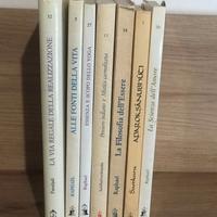 Lotto 7 Libri Advaita Vedanta Yoga Raphael Asram