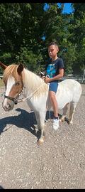 Pony