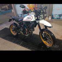 Ducati scrambler desert sled
