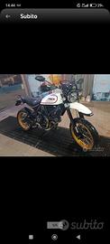 Ducati scrambler desert sled
