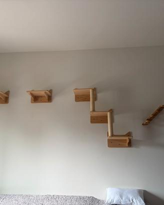 Giochi da muro per gatto