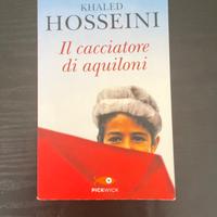 Il Cacciatore di Aquiloni