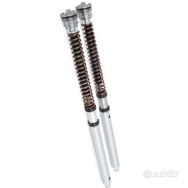 forcelle piu molle xadv 750 più  ammortizzatore po