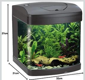 Acquario 25 litri piccolo betta caridine