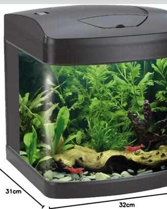 Acquario 25 litri piccolo betta caridine
