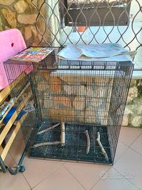 Gabbia uccelli-pappagalli
