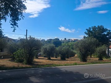 Terreno Edificabile in Cepagatti