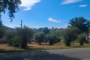 Terreno Edificabile in Cepagatti