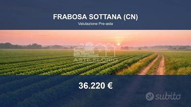 Immobile in asta di 16985 m² a Frabosa Sottana