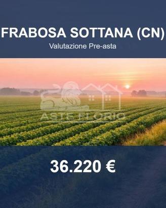 Immobile in asta di 16985 m² a Frabosa Sottana